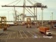Port Container Terminal 88